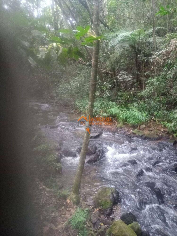 Terreno, 4000 m² - Foto 1