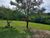 Chácara, 2 hectares - Foto 4