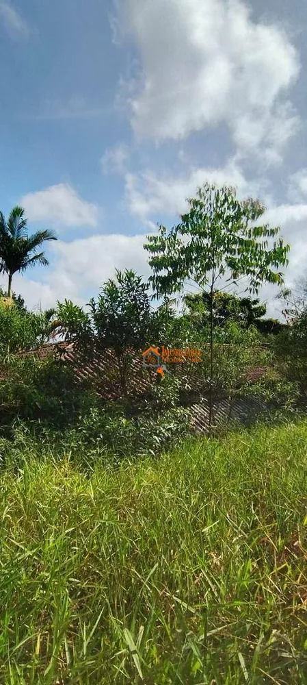 Chácara, 1760 m² - Foto 7