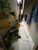 Sobrado, 3 quartos, 380 m² - Foto 17