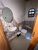 Sobrado, 3 quartos, 380 m² - Foto 13
