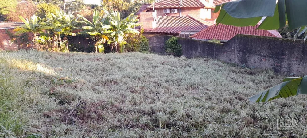 Terreno à venda - Foto 3