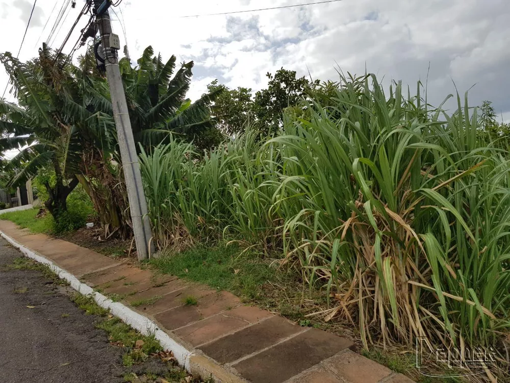 Terreno à venda - Foto 4