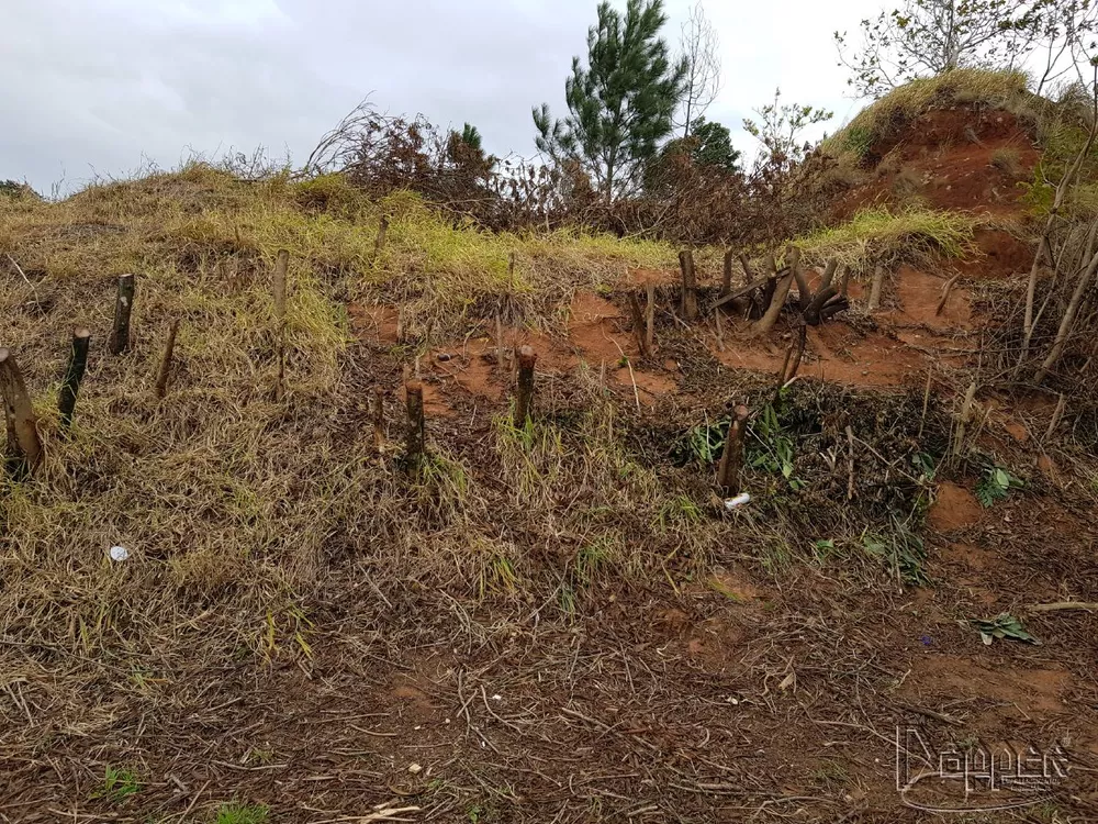 Terreno à venda - Foto 1