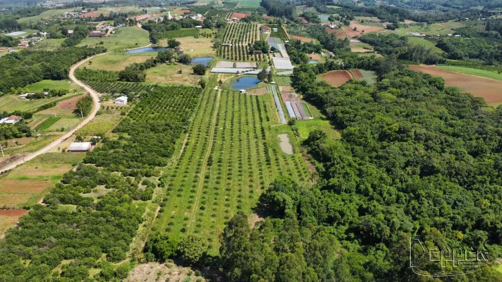 Chácara à venda - Foto 4