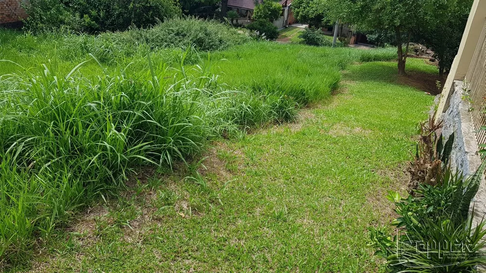 Terreno à venda - Foto 3