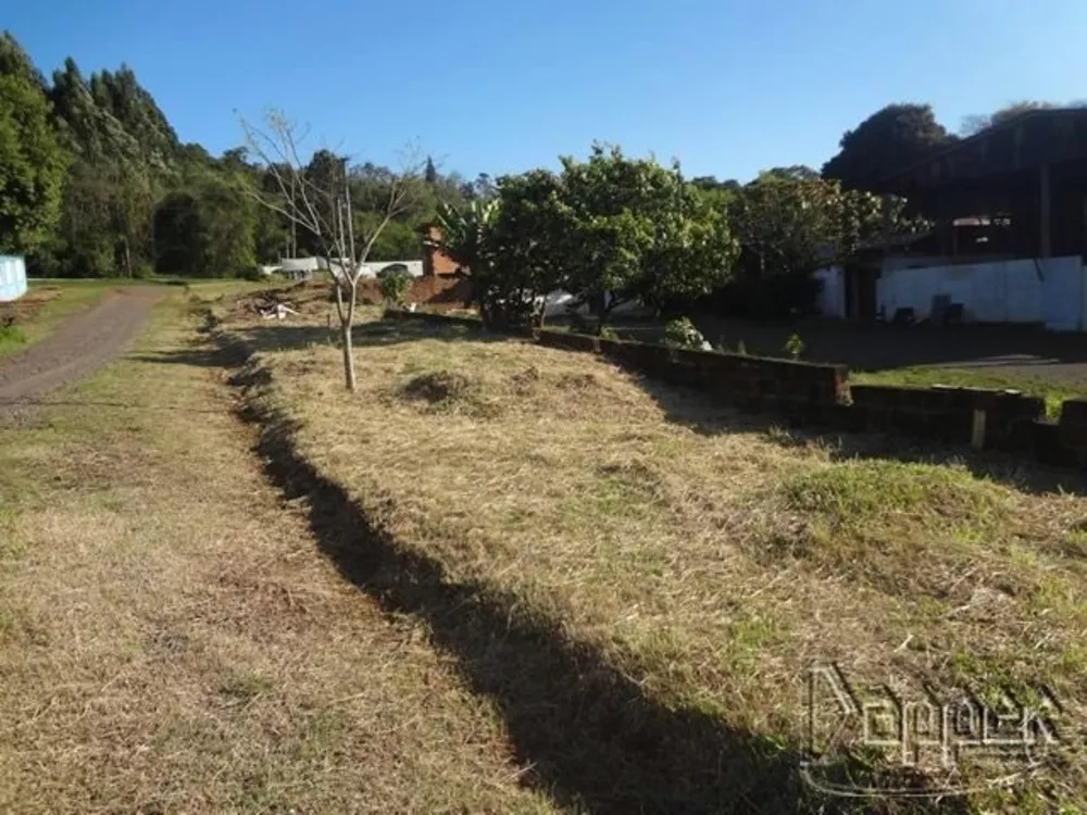 Terreno à venda - Foto 4