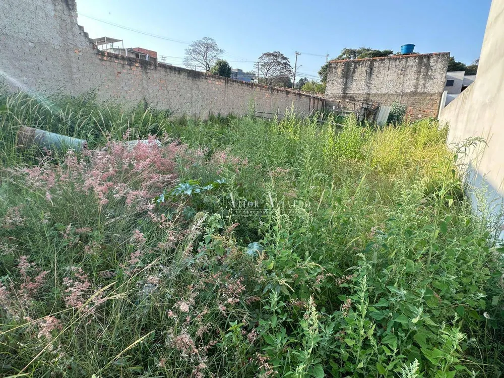 Terreno, 300 m² - Foto 3