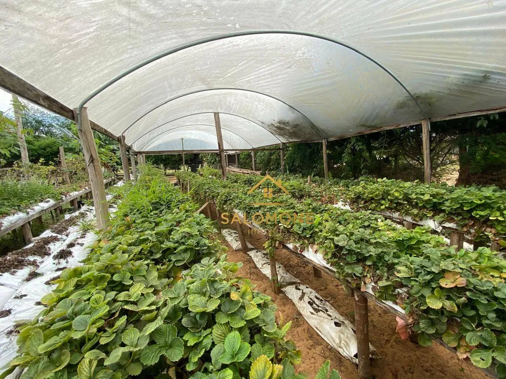 Sítio, 2 quartos, 1400 m² - Foto 14
