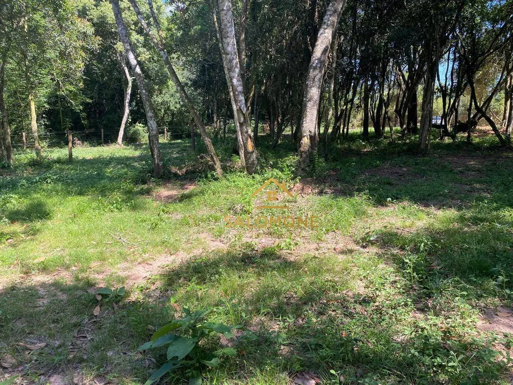 Terreno, 1000 m² - Foto 4