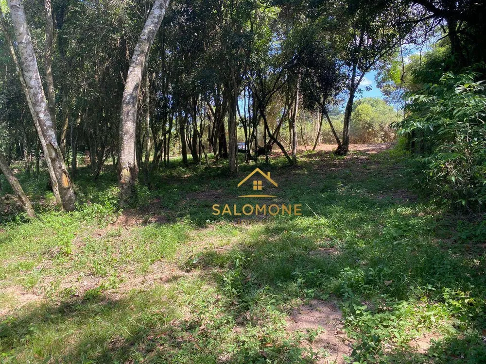 Terreno, 1000 m² - Foto 5