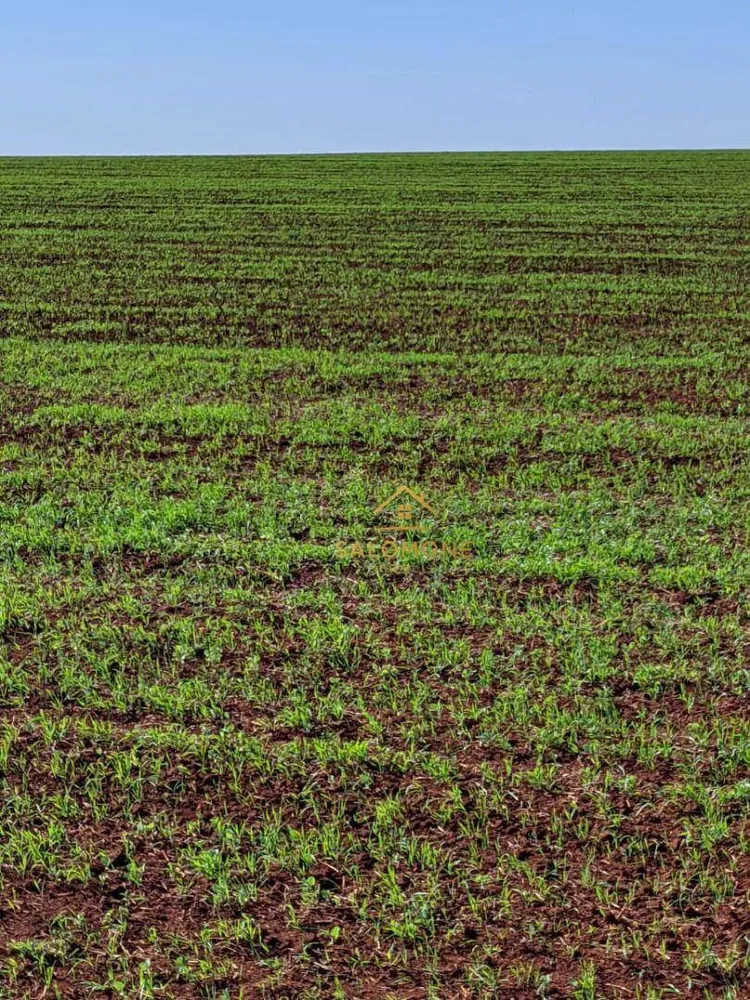 Fazenda, 565 hectares - Foto 2