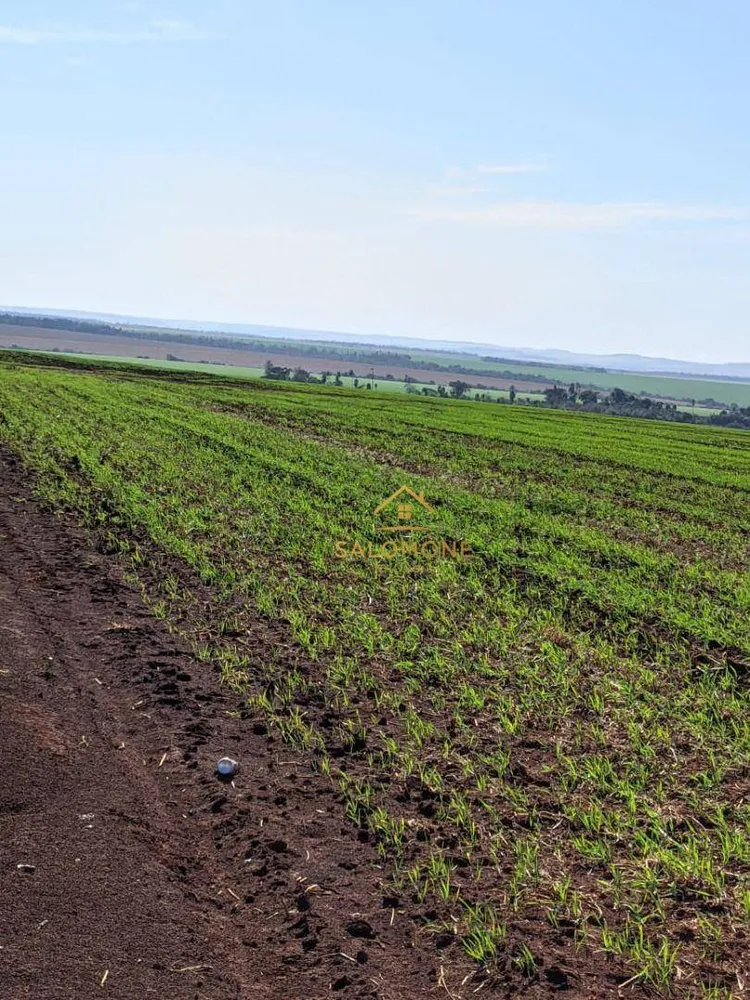 Fazenda, 565 hectares - Foto 1