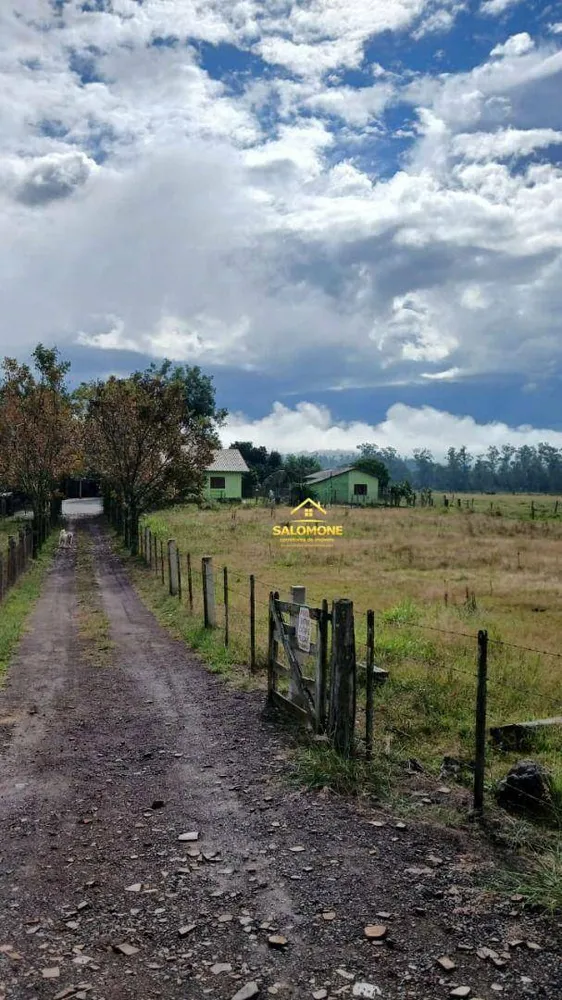 Fazenda, 120 hectares - Foto 5