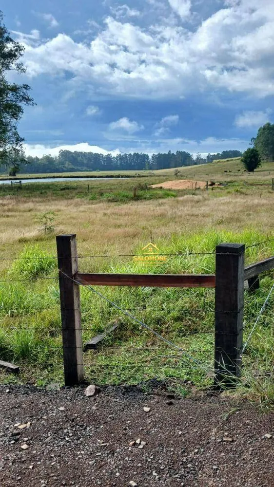 Fazenda, 120 hectares - Foto 3