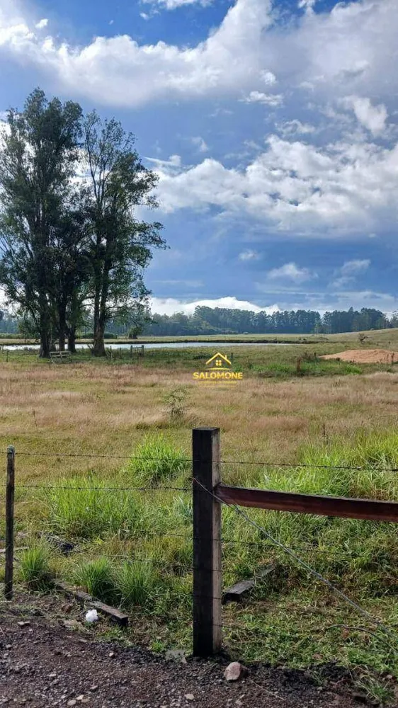 Fazenda, 120 hectares - Foto 4