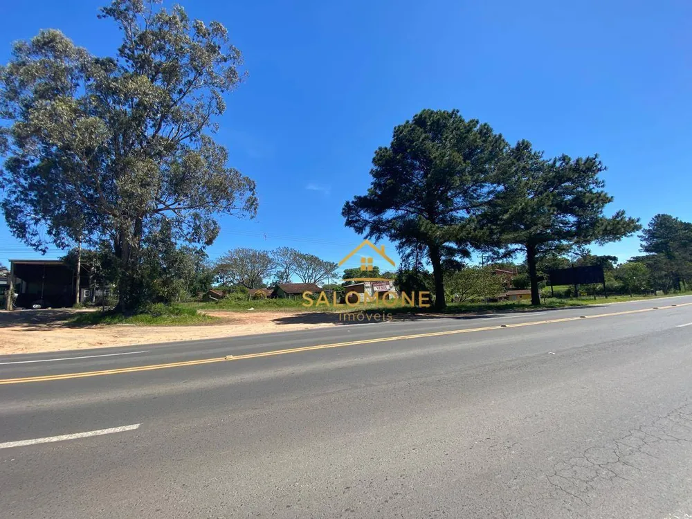 Terreno, 5000 m² - Foto 2