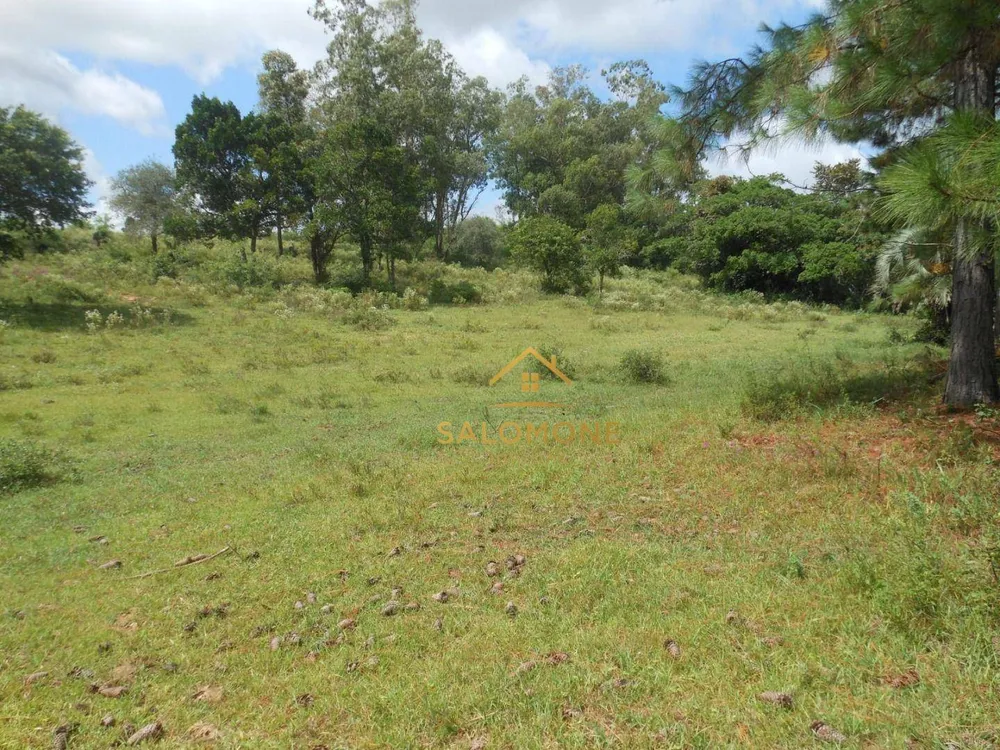 Sítio, 4 hectares - Foto 1