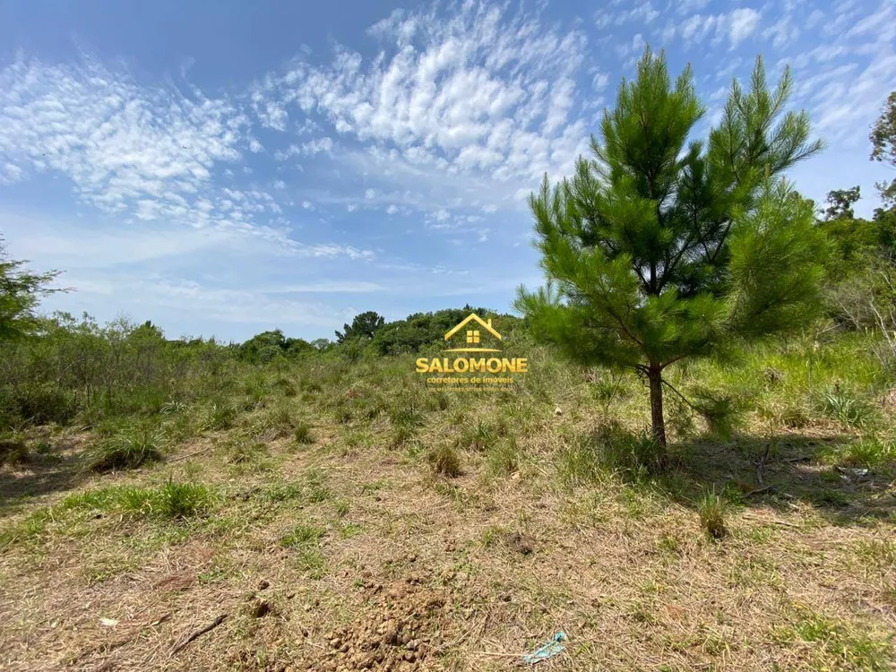 Terreno, 4 hectares - Foto 3