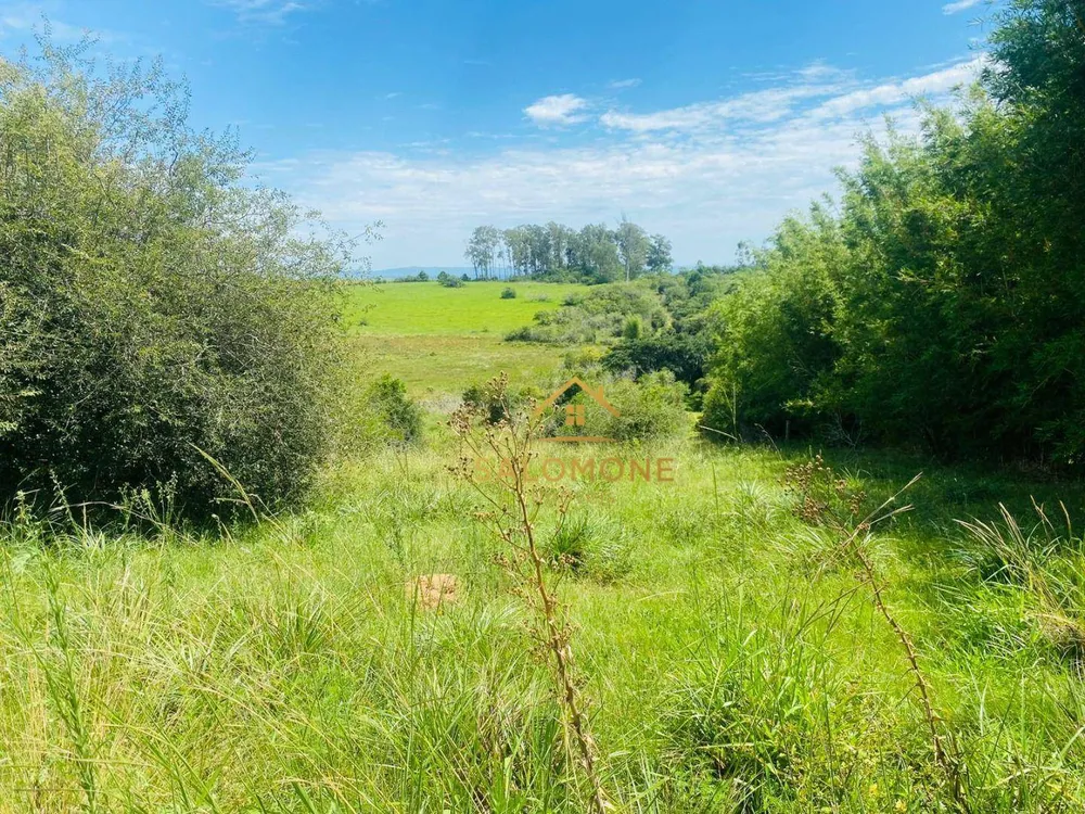 Terreno, 10 hectares - Foto 12