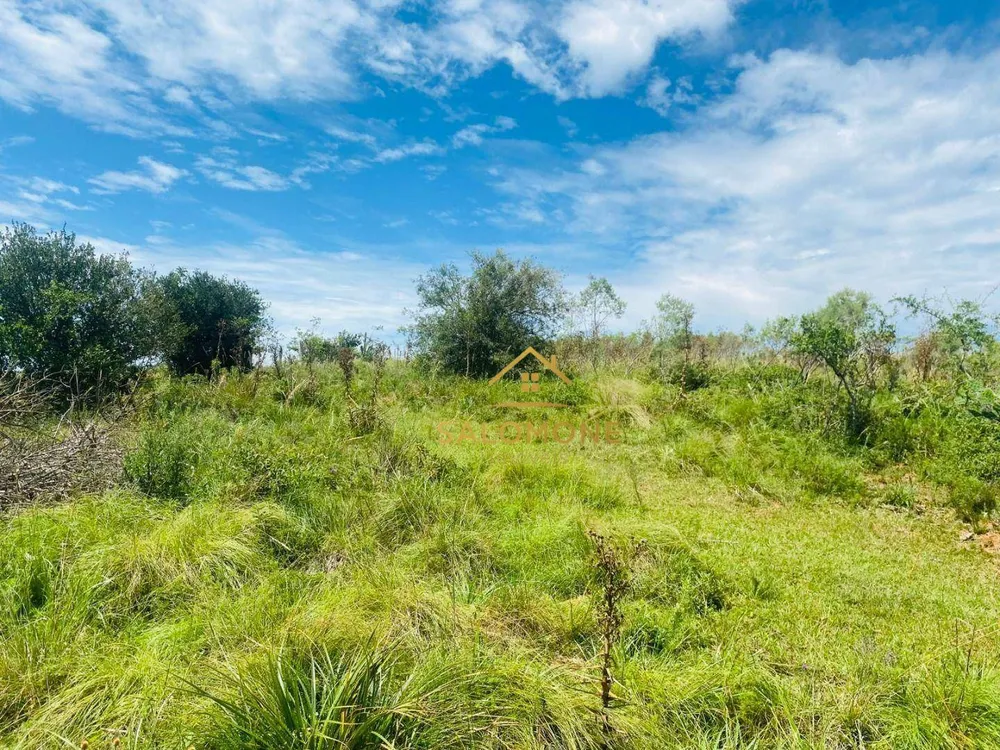 Terreno, 10 hectares - Foto 13