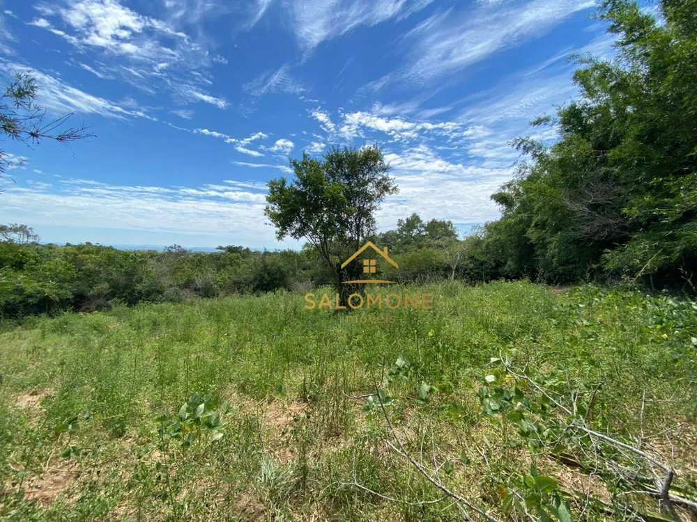 Terreno, 10 hectares - Foto 11
