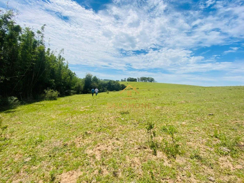 Terreno, 10 hectares - Foto 2
