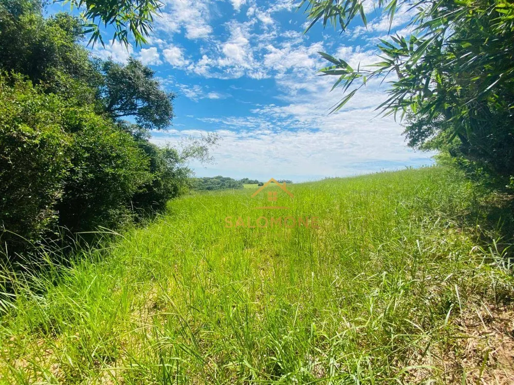 Terreno, 10 hectares - Foto 7
