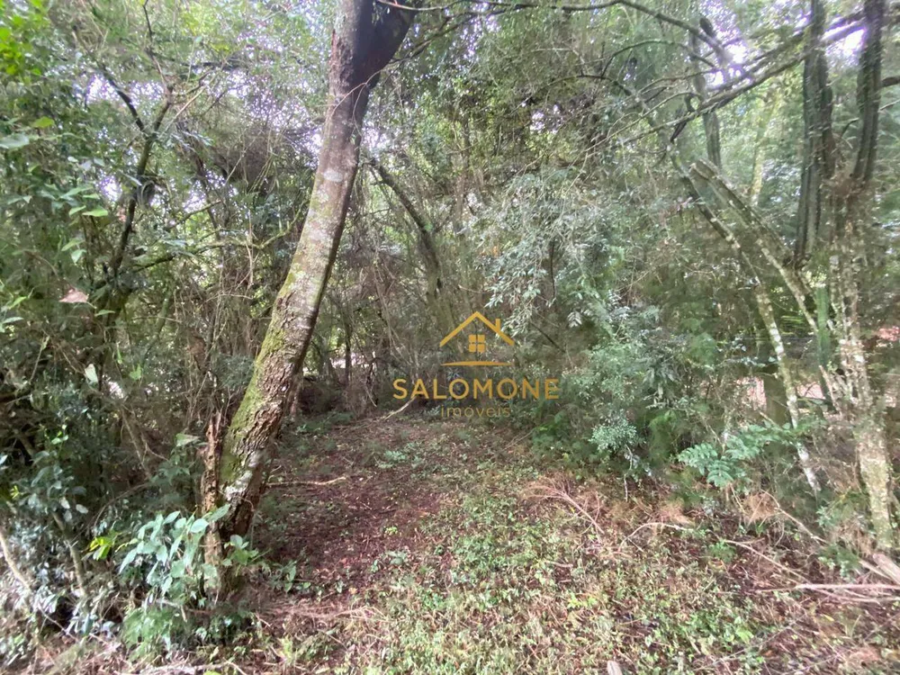 Terreno, 1800 m² - Foto 12