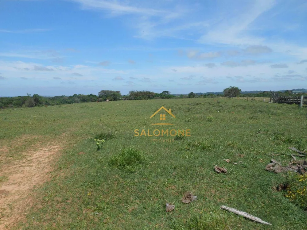 Fazenda, 100 hectares - Foto 12