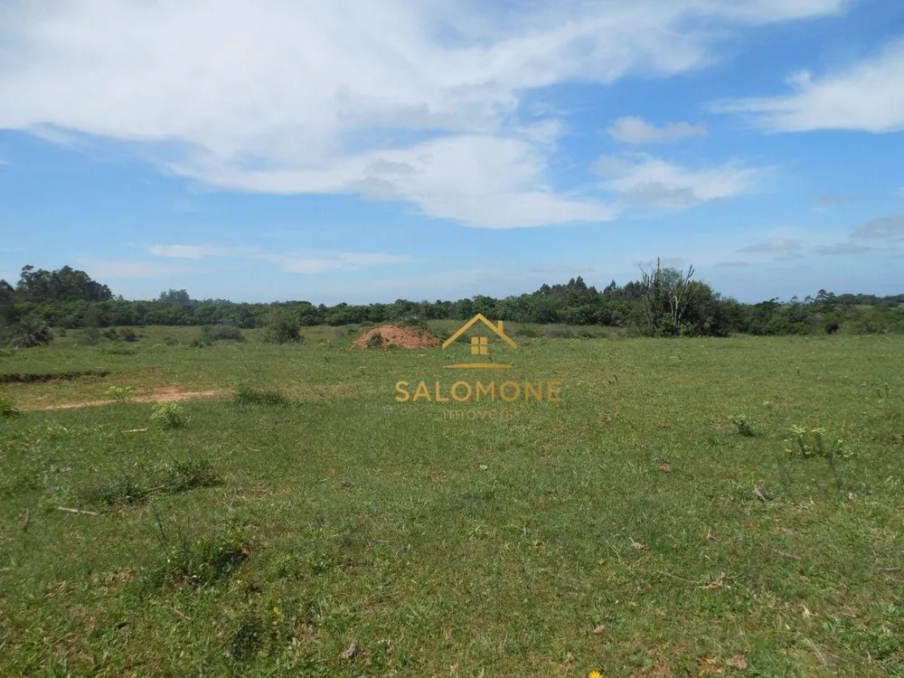 Fazenda, 100 hectares - Foto 9