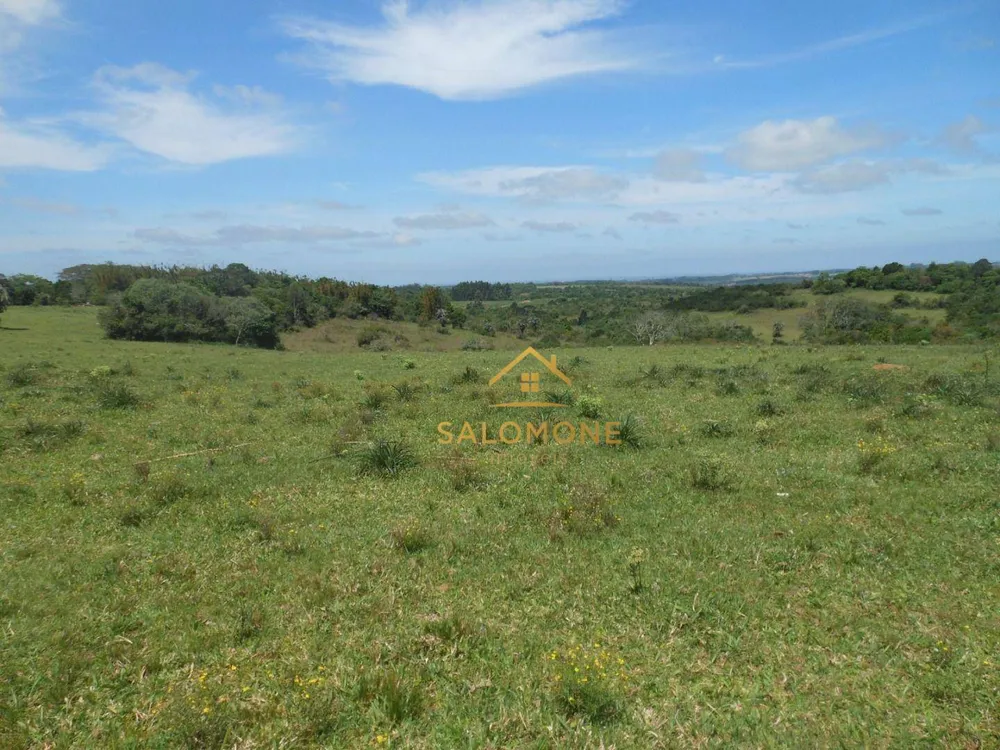 Fazenda, 100 hectares - Foto 6