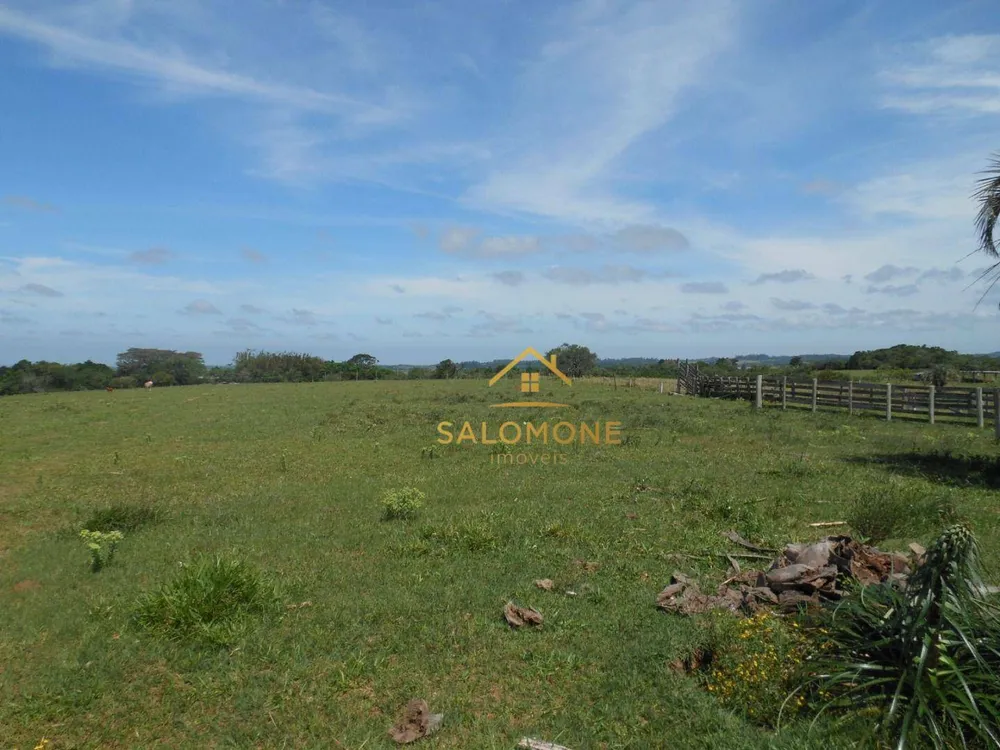 Fazenda, 100 hectares - Foto 13