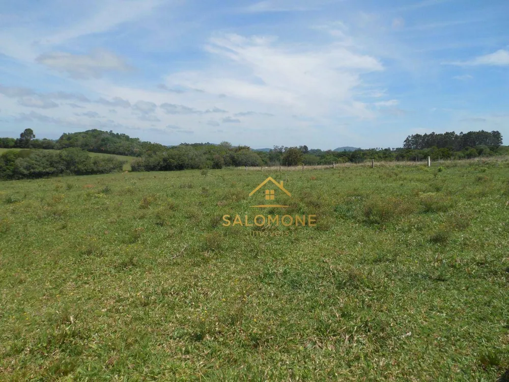 Fazenda, 100 hectares - Foto 14