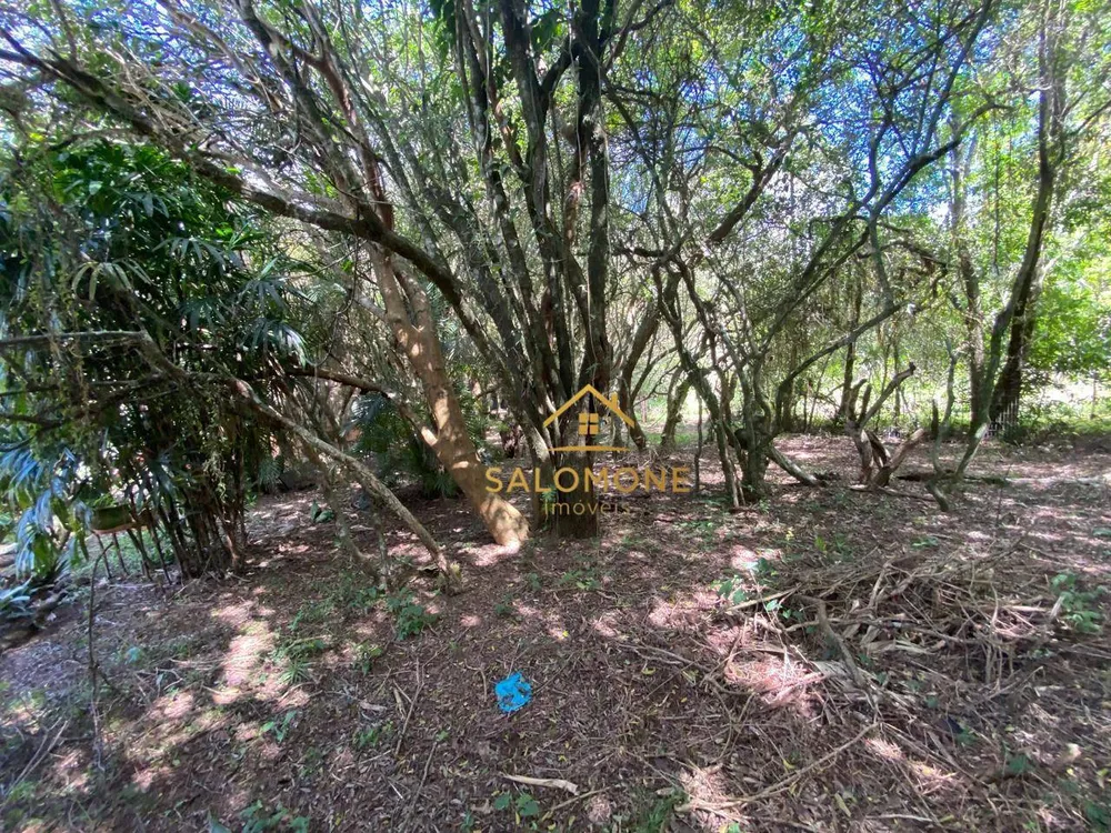 Chácara, 2 quartos, 2500 m² - Foto 3