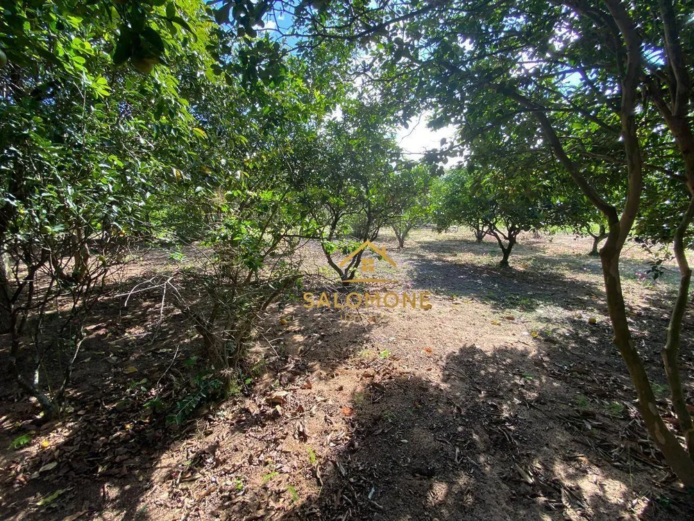 Chácara, 4 quartos, 2 hectares - Foto 7