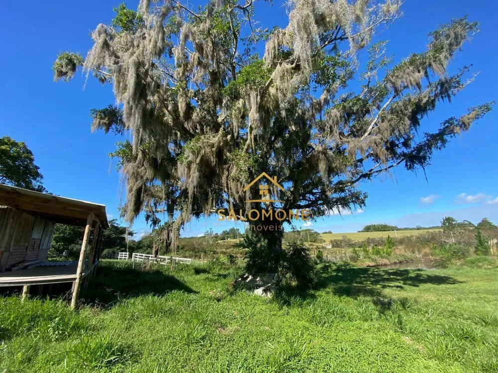 Chácara, 2 quartos, 10000 m² - Foto 5