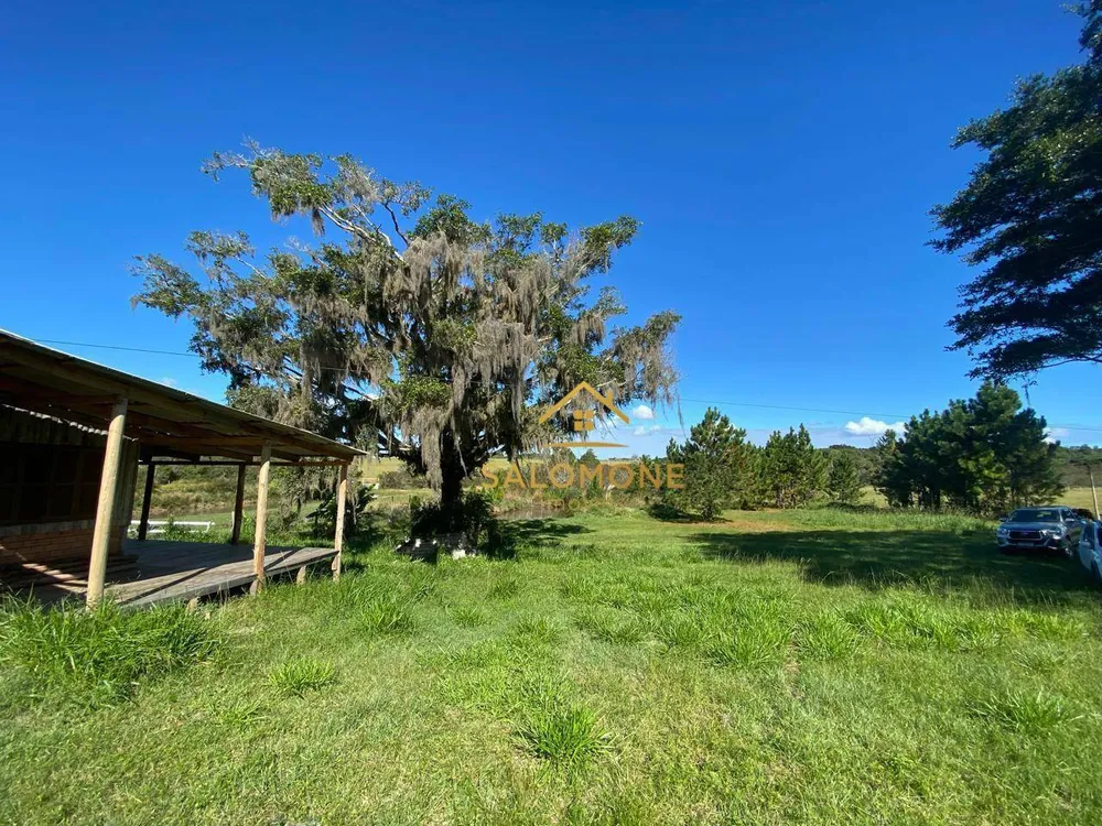 Sítio, 2 quartos, 10000 m² - Foto 4
