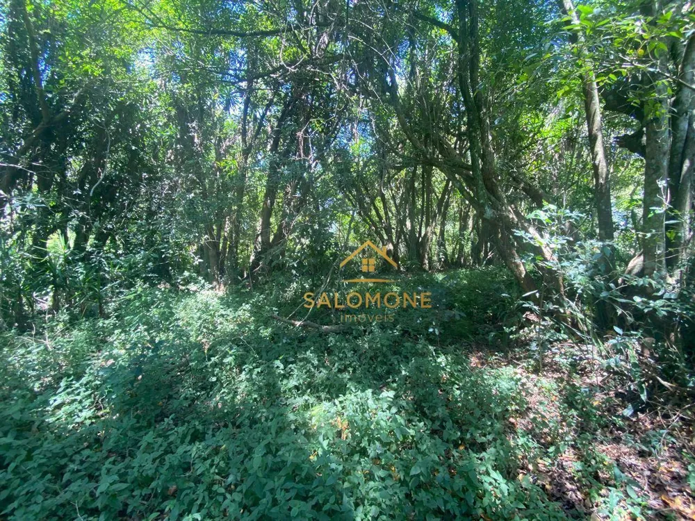 Loteamento e Condomínio, 480 m² - Foto 3