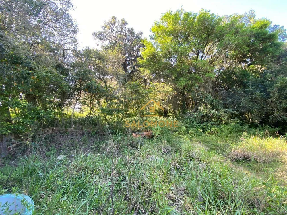 Sítio, 3 hectares - Foto 8