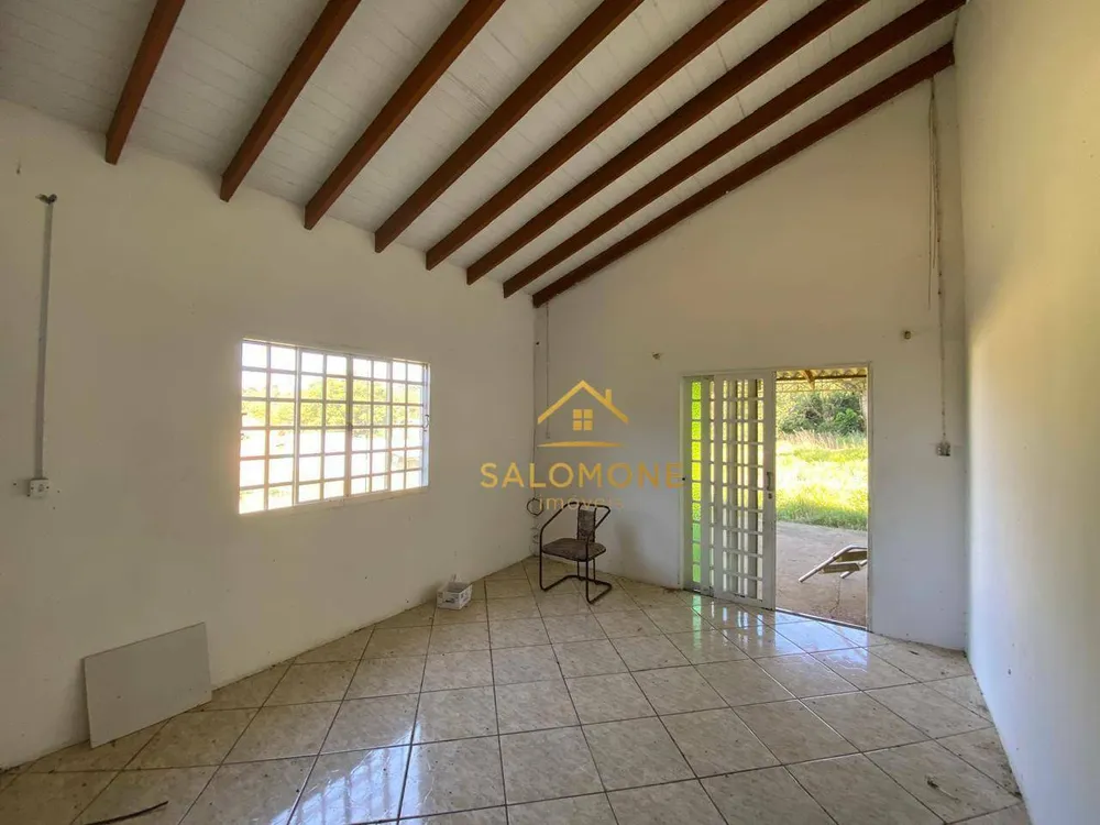 Sítio, 3 hectares - Foto 4