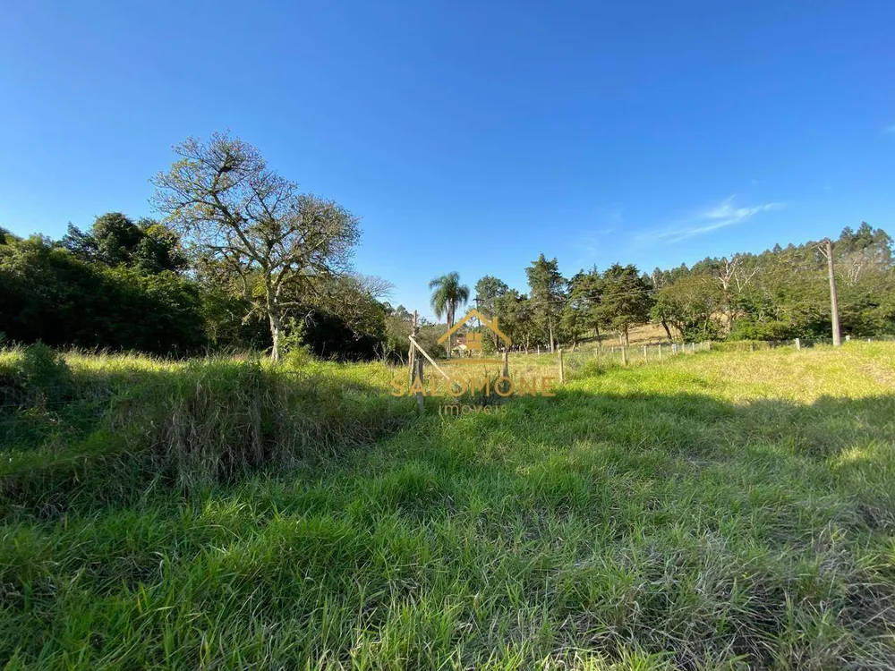 Sítio, 3 hectares - Foto 12