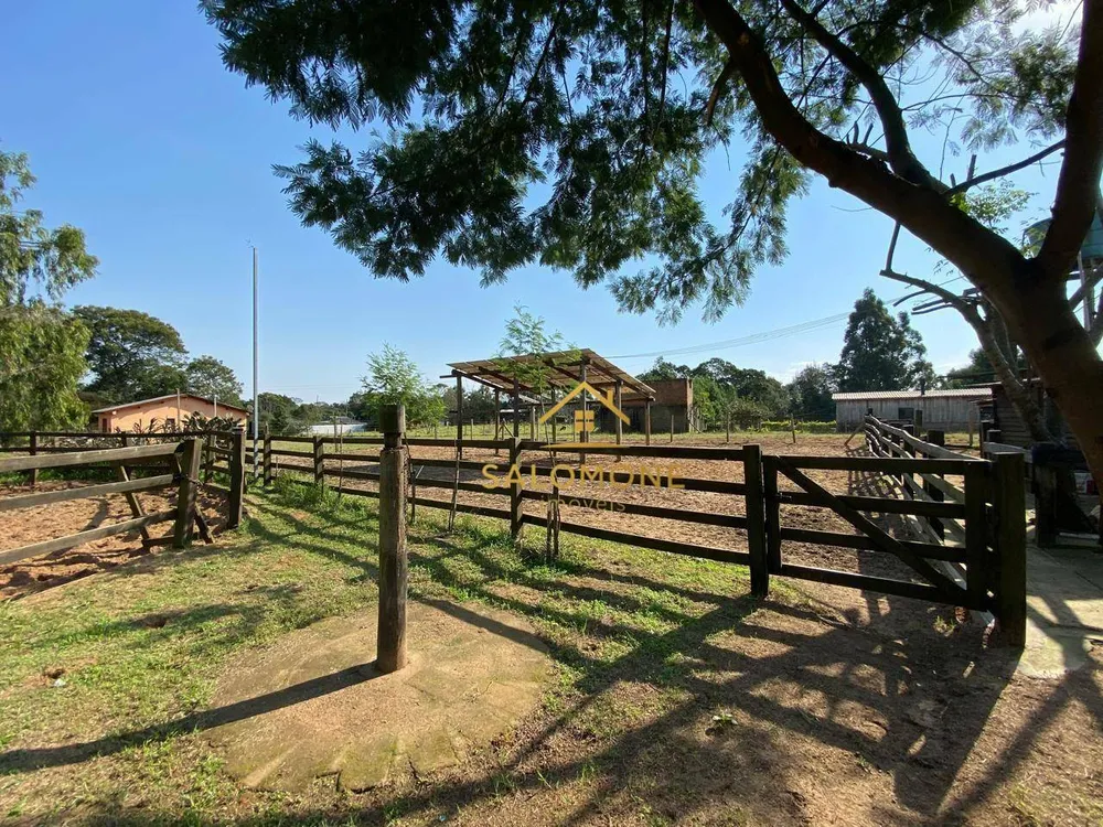 Sítio, 4 quartos, 5000 m² - Foto 5