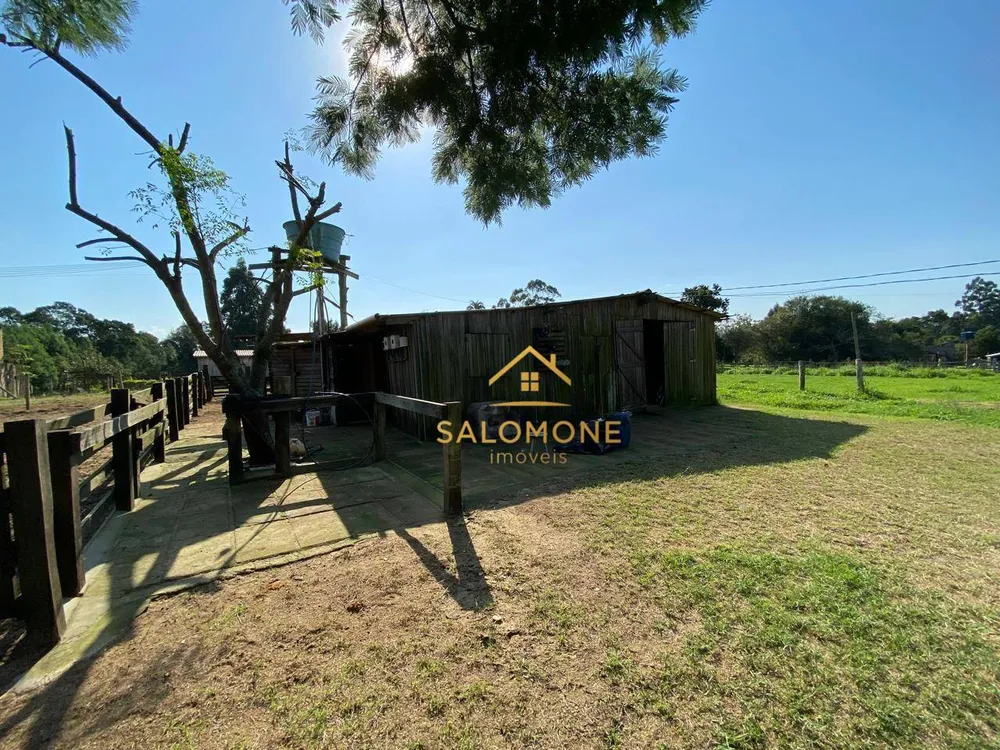 Sítio, 4 quartos, 5000 m² - Foto 9