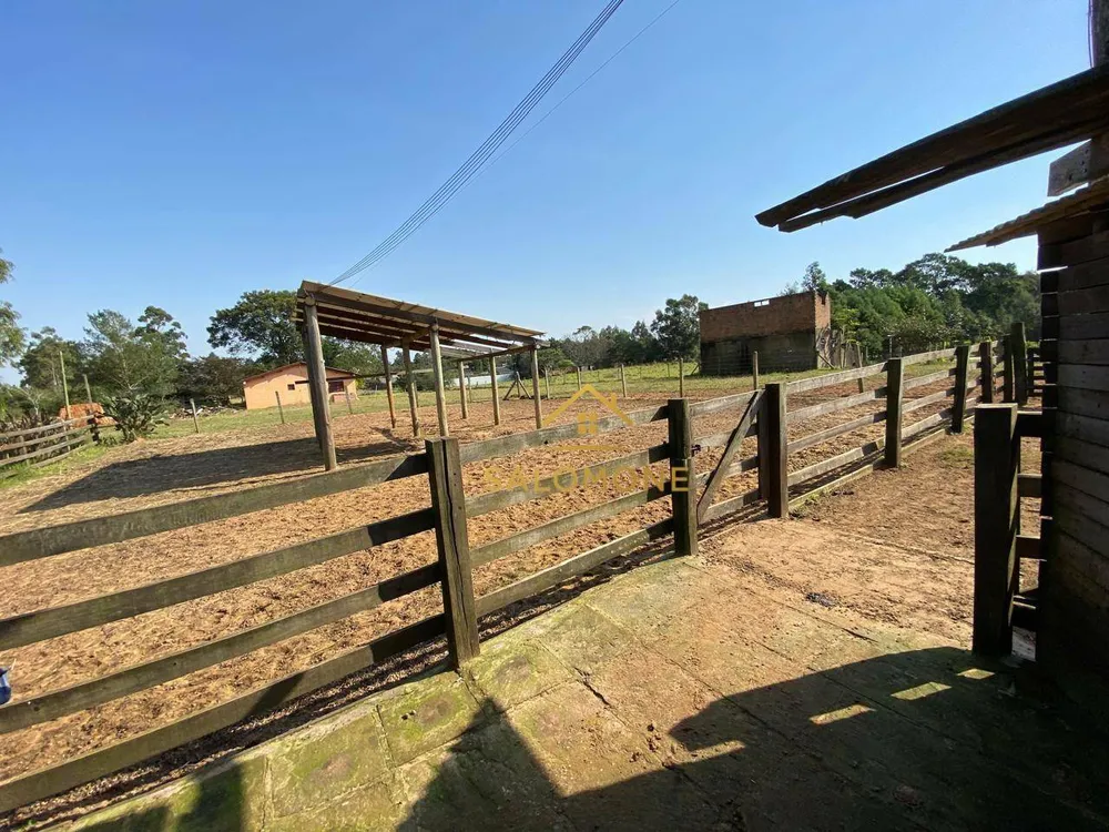 Sítio, 4 quartos, 5000 m² - Foto 2