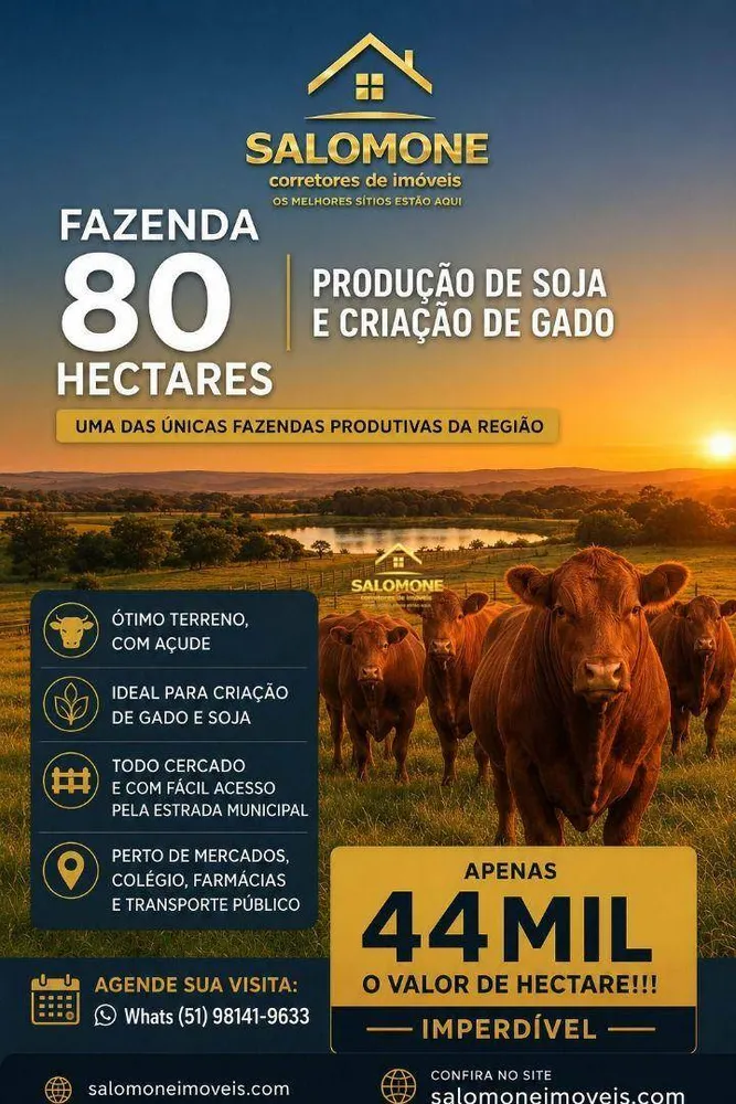 Fazenda, 80 hectares - Foto 3