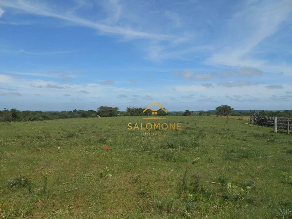 Fazenda, 80 hectares - Foto 1