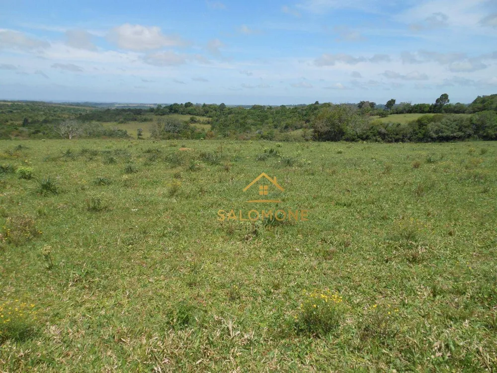 Fazenda, 80 hectares - Foto 2