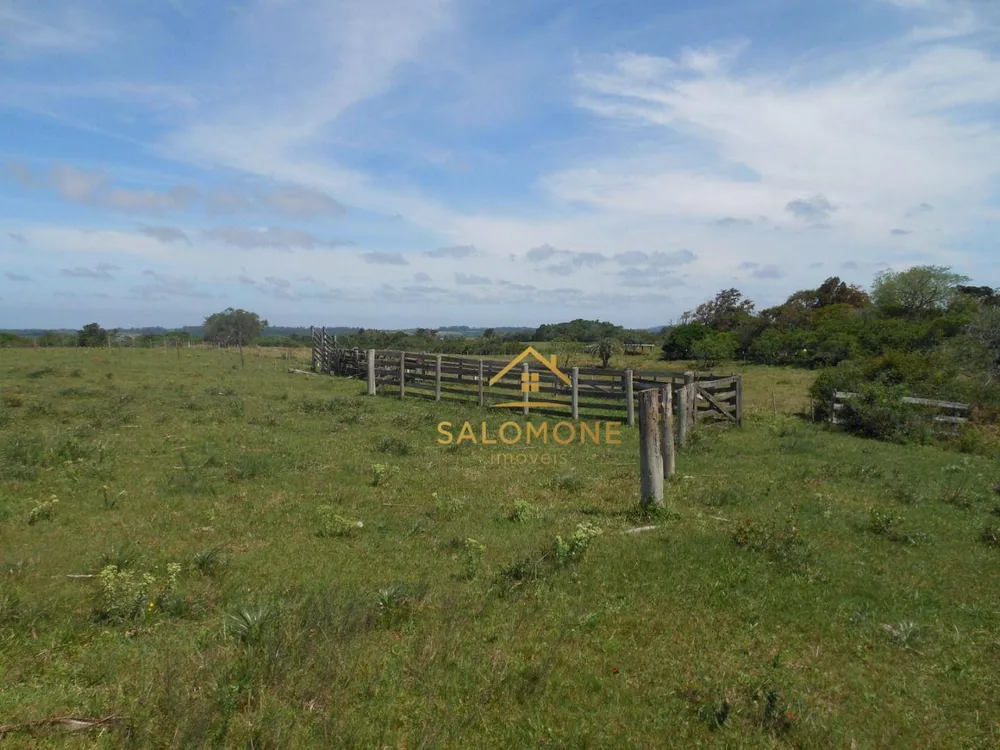 Fazenda, 80 hectares - Foto 4