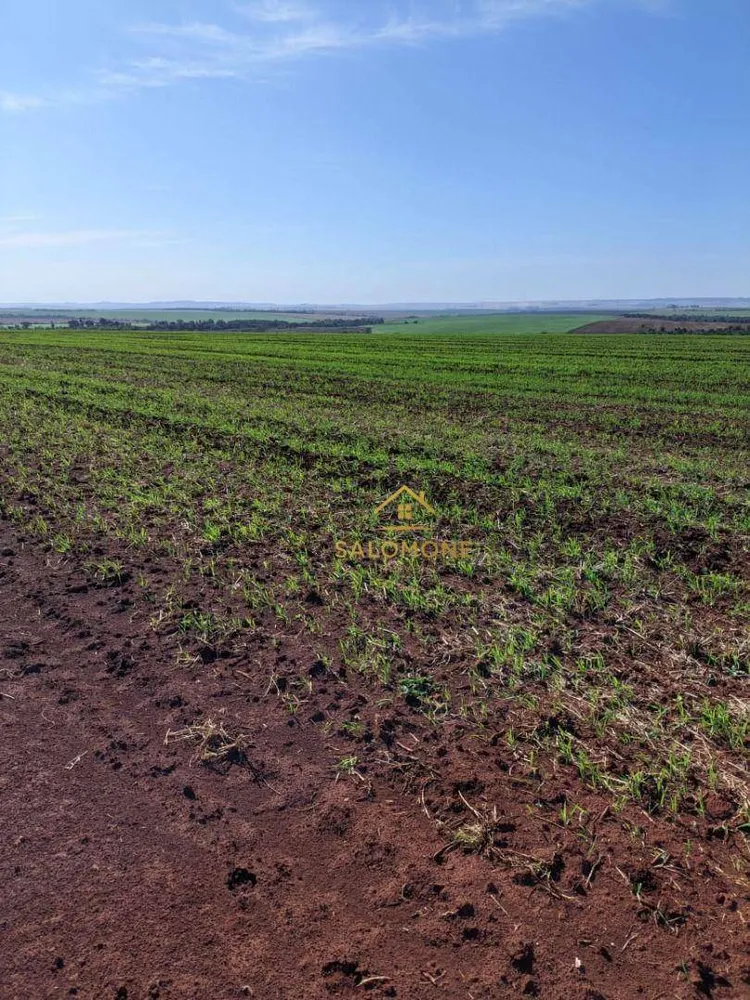 Fazenda, 900 hectares - Foto 1